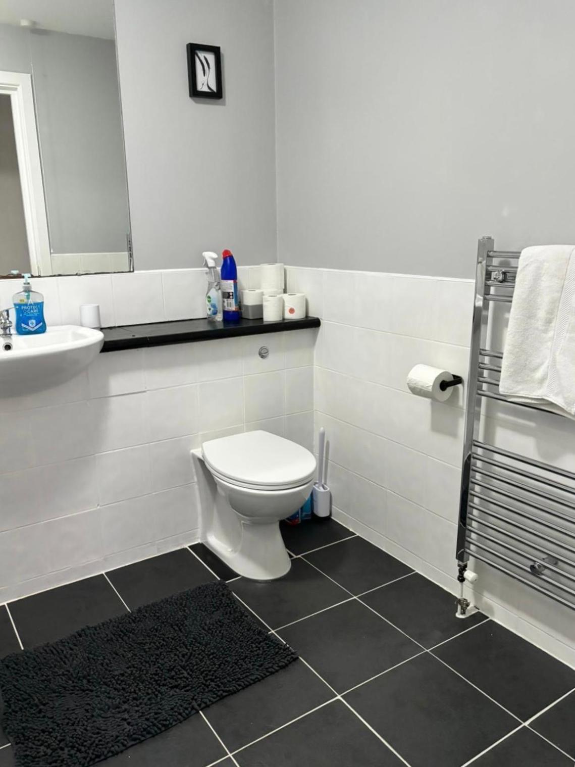 2 Bedroom Ground Floor Apartment Belfast Exteriér fotografie